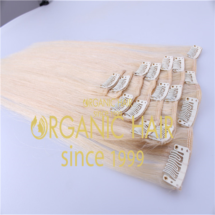 Clip in Hair Extensions H9